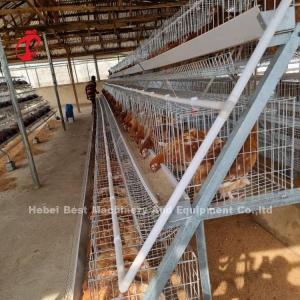 China Fully Automatic 80-100kg Heavy Duty Layer Poultry Cage System With Sliding Door Rose factory