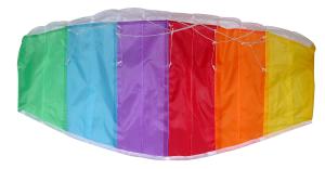 China Small Size Parafoil Stunt Kite Easy Assembled Dual Line Type 80*40cm factory