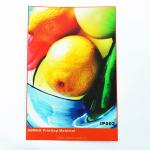 Fabric Advertising Banner Printing Indoor Outdoor Roll Up Banner Suit