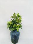 20CM Height Artificial Gardenia Bush Home Garden Table Decor
