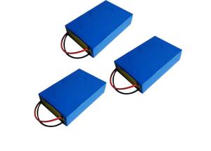 China Multi Use Lithium Ion Polymer Battery Heat Resistant For Electric Vehicles / Tricycles factory
