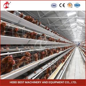 China Cage Mesh H Type Broiler Chicken Cage With Ventilation For Healthy Birds Sandy factory