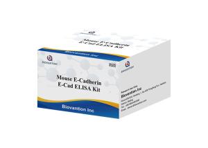 China Mouse E Cad E Cadherin Elisa Kit Research Use Only Sandwich Method factory