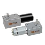 Faradyi Customized FR12 High Quality 12V 16RPM Brushless Dc Worm Gear Stepper