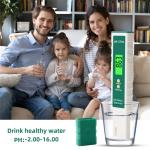 Swimming Pools Litmus 0.01 16.00PH LCD Digital PH Meter