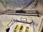 Fluence SPYDR HLG 550 Aluminum Horticulture LED Grow Lights