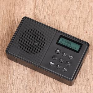 China Mini DAB+ Digital Radio DAB+ Clock Radio With LCD Display factory