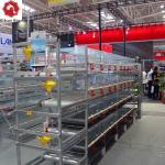 H Type Chicken Battery Breeder Cage Poultry Farming Equipment 4 Tiers