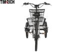 350 Watt Cargo Electric Battery Powered Bike 3 Wheels LCD Display TM-BGL-ET01