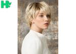 Fashion Synthetic Short Natural Straight No Lace Wig For Women Cap
