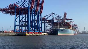 China Shenzhen Amazon FBA Shipping Agent DDU DDP Freight Rates From China To North American factory
