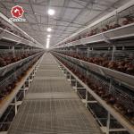 Long Time Use Hot Galvanized Broiler Chicken Cage 17 Chicks / Cell