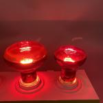 E26 E27 Infrared Turtle Heat Lamp 220V 110V 75 Watt Basking Bulb