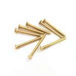 Yellow Brass Slotted Drive Oval Head Wood Screws Round Head Furniture Screws