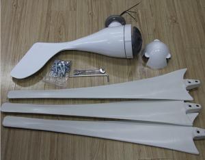 China TGWT-200S 200W 12V/24V wind turbine Three phase permanent magnet AC synchronous generator factory
