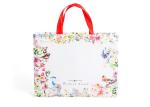 Custom Laminated Shopping Bags Foldable For Grocery Store / Department Store