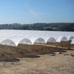 New Design Multi Span Film Plastic Tunnel Agricultural Greenhouse Growing