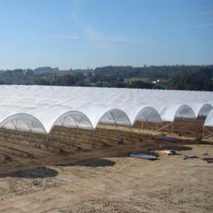 China New Design Multi Span Film Plastic Tunnel Agricultural Greenhouse Growing Different Types Berries Strawberry Blueberry factory
