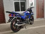 wholesale oem China LIFAN peru SUMO 150cc 200cc 250cc electric racing street