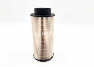 China Truck Assessories Diesel Engine Fuel Filter PU941X FF5423 1446432 factory