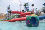 Customized Colorful Carp Spray Aqua Park Equipment For Children / Kids Fun in