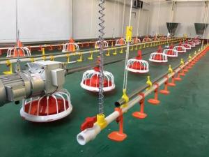 China Diameter 60mm Poultry Farm Feeding Machine Galvanized Steel factory
