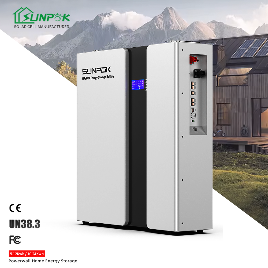 China 5kWh 10KWh 15kWh Lithium Battery LiFePO4 Powerwall 48V 51.2V Home Wall Mounted House Solar Energy Storage Battery factory
