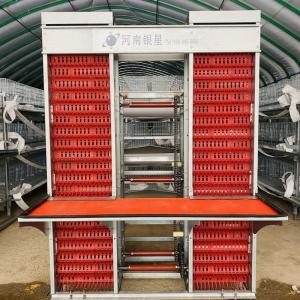 China H Type 3 Tiers 4 Tiers Battery Cage For Layer Chicken 45 * 60 * 41cm factory