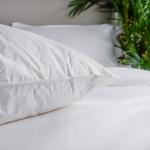 Soft Hotel Goose Down Pillows , Hotel Luxury Collection Pillows Feather Anti -