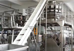 China TOUPACK 20m/Min Chain Type Bucket Elevator Temperature Resistant factory