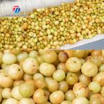 1500KG/H Ginger peeling cleaning machine potato yam peeling machine Wool roller