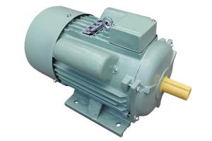 China 0.75 HP Single Phase Asynchronous Motor 50 Hz Frequency For Machinery factory