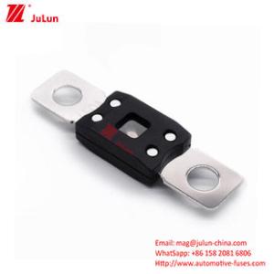 China 30A-500A Small Medium Large Fork Bolt Car Fuse Small Medium Large factory