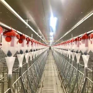 China Pig Cage Coop Swine Poultry Farming Structures 320MPA tensile strength factory