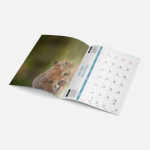 China Custom Made Calendar 2024 Printing Flip Desk Table factory