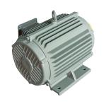 IP55 High Efficiency Electric Motor Rigidity Ye5 Ie5 Electric Induction Motor
