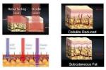 100mw diode light portable weight loss lipo laser slimming machine supplier