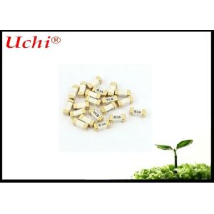 300V Time - Lag 2410 Series Slow Blow SMD Fuse For LED Driver Power Supply