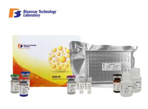 China Strong Sensitivity ABCG8 Human Elisa Sandwich Test 2 Hours Assay Length ISO9001 factory