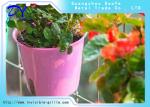 Flower Fix to Invisible SS Wire Balcony Potted Invisible Grill Accessories