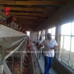 Galvanized Steel Poultry Battery Cage System For Poultry Chicken Farms Using