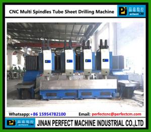 China Multi Spindles CNC High Speed Drilling Machine for Tube Sheet (Model PHD5050-4) factory