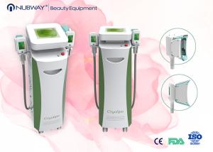 China Cryolipolysis slimming machine lipocryo cryolipolysis factory