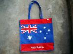 Non-woven PP shopping bag