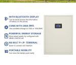 Solar Wall Mounted LiFePo4 Battery 51.2V 100ah 5Kwh 48v Power Wall Residential