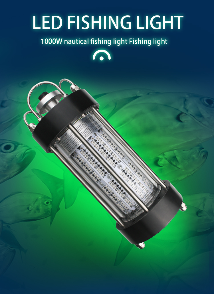 200W 1000W Submersible Fishing Light Outdoor Working Light AC220V
