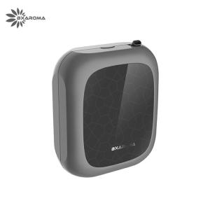 China Hotel Waterless Nebulizer Diffuser Essential Oil Aroma Fragrance factory