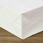 Plain White Takeaway Kraft Paper Shopping Bags With Handles