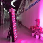 Blood Vessels Removal 1000W Infrared Light Therapy Panels Customize 7 Wavelength
