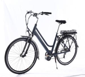 China 28 Inch Mid Drive Electric Bicycles With LCD Display Rear Carrier Battery Position factory